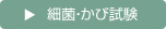 細菌・かび試験