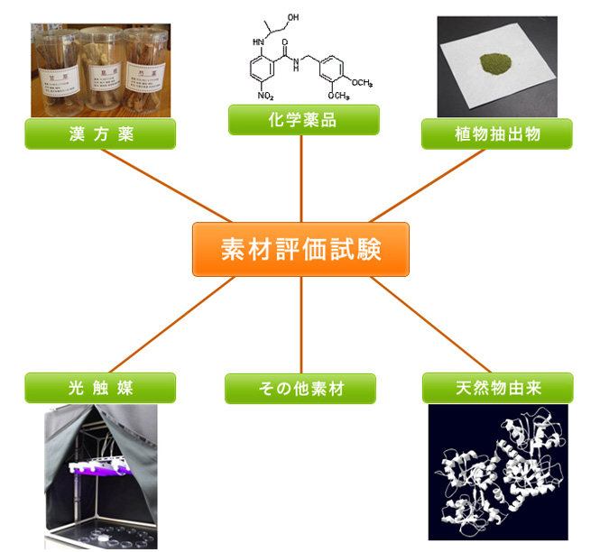 素材評価試