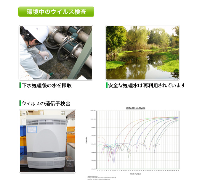 ウイルス増殖抑制能試験